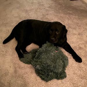 Meet your Posher, Tara